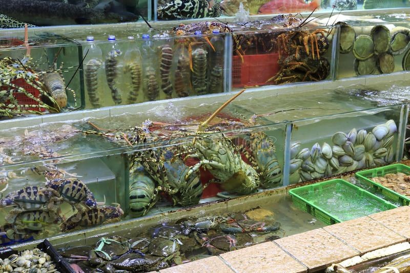 Top 15 địa chỉ mua hải sản Quảng Ninh chất lượng và giá rẻ - Review Villa