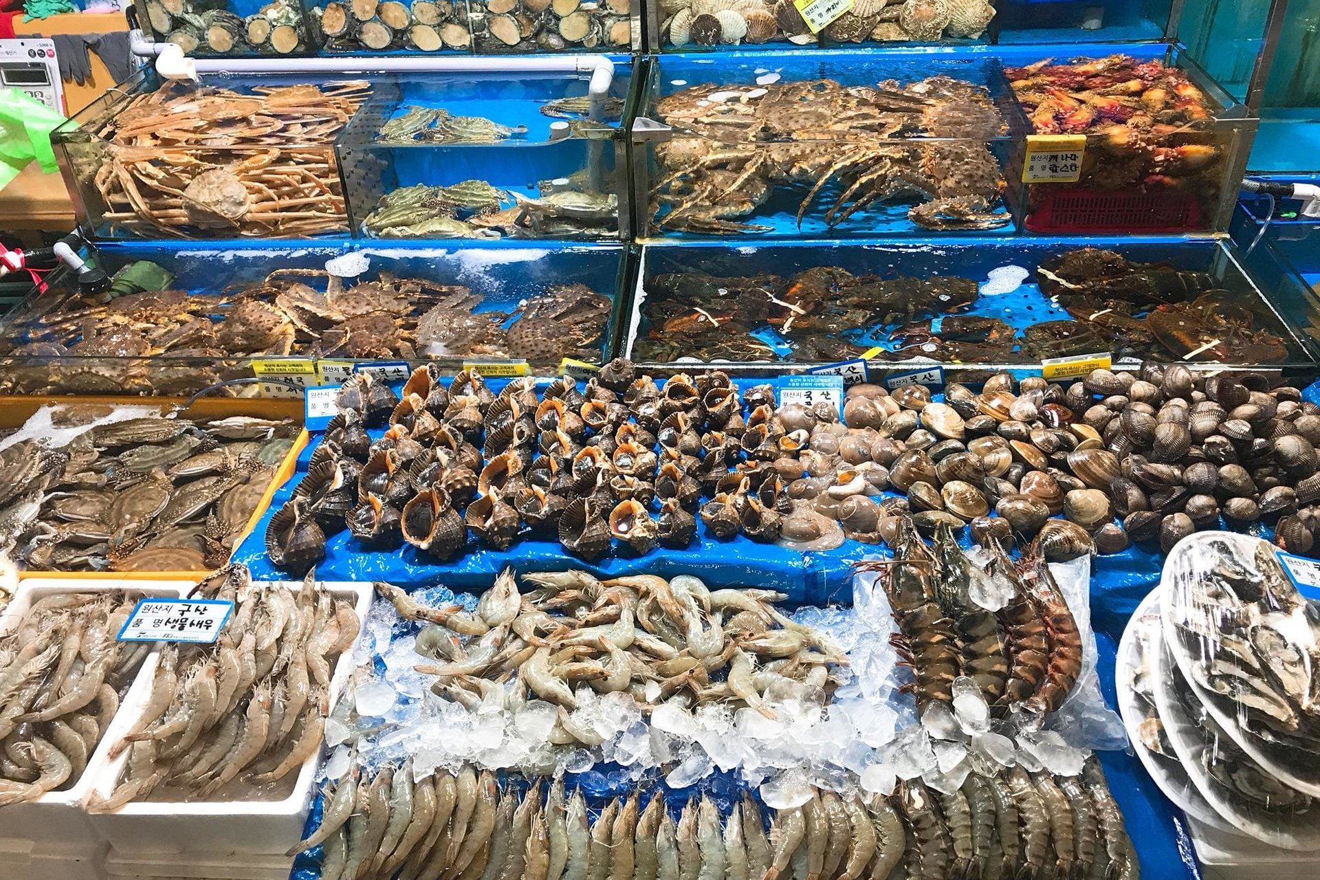 4 chợ hải sản nào nổi tiếng nhất định phải ghé tại thành phố Hồ Chí Mi